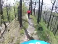 Freeride/Downhill Rm. Valcea Capela