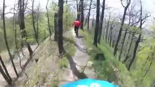 Freeride/Downhill Rm. Valcea Capela