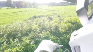 14.06.2017 p4 Prestegårdsskogen, Askim, Norway