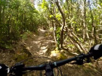 Santacruz Trail | Massa Marittima Trail Area...