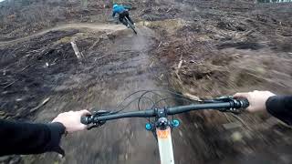 Cougar Mtb Park New flow trail !!!!!!!