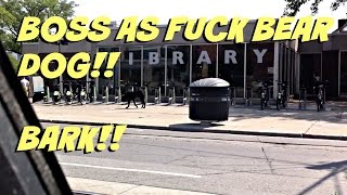 TBO: HOLY SHIT ITS A BEAR DOG!!