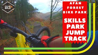 afan forest park mtb