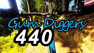 440 Park Gum Diggers