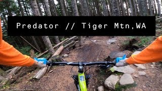 Predator // Tiger Mountain, WA (GoPro Hero 8...