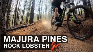 Santa got me a second GoPro for Xmas - Majura...