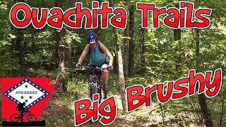 Ouachita Trail - Big Brushy