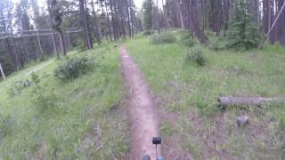 Banff Mountain Biking: Renz-Ton trail, June...