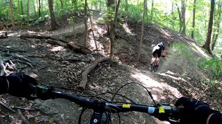 Chris Pukes up the Parkway Trails// 20190921