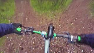fast in Hovskogen 17.12.2019