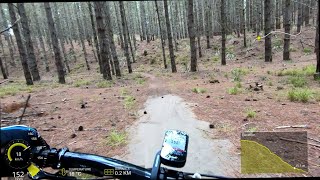 Woodhill MTB Park - Sunday Drive - deep sand