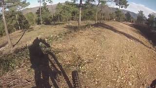 ride bargemon