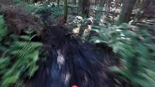 McNutt Moto - Slithering around Ridge Trail -...