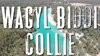 WA Collie Wagyl Biddi MTB trail 4k