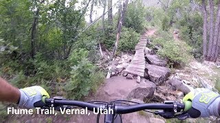 The Flume Mountain Bike Trail, Dry Fork,...