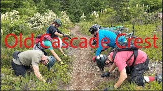 VOTR Old Cascade Crest with Trans Cascadia...