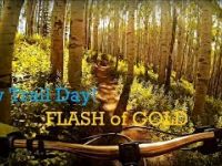 New Trails are Fun! Flash of Gold