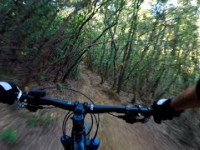 Pesta Trail Trail  |  Massa Marittima Trail...