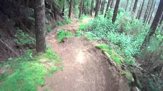 D/Hill MTB trail at Busing Forest, Scout Road,...