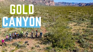 Gold Canyon, AZ | Cacti and blood and SkyNet!...