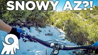 Mountain Biking Bug Springs & Prison Camp...