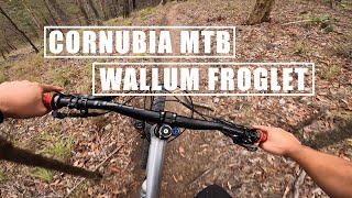 Cornubia MTB | Wallum Froglet | GoPro Hero 8