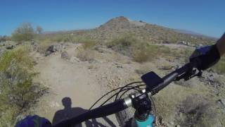 Wayne's World Downhill