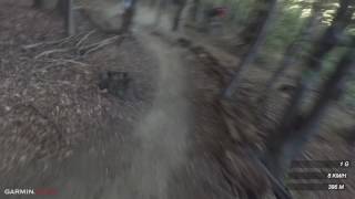 Enduro Line - Trailcenter Hohe Wand Wiese | LINES