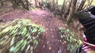 BTT MTB Fail Sintra - Viuva 2015-02-15