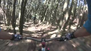 BTT MTB Sintra - Malveira - 2014-09-28