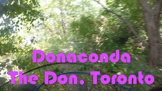 Donaconda, The Don, Toronto