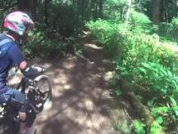 Cumberland Forest Mountain Biking - Missing Link