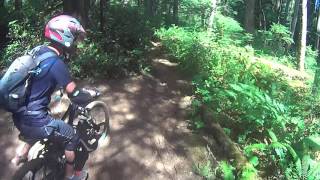 Cumberland Forest Mountain Biking - Missing Link