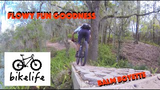 Balm Boyette Mountain Biking