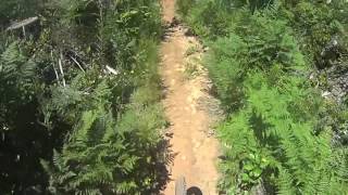 Cumberland Forest Mountain Biking - Entrails...