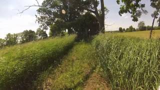 sharon mills trail perfect for fat biking...