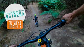 Tu Meke Trail, Rotorua - built for the EWS and...