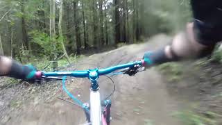 Mountain Biking: Evolution, Galbraith Mt,...