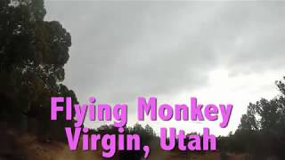 Mountain Biking: Flying Monkey, Virgin, Utah