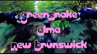 Mountain Biking: The Green Snake, Alma, New...