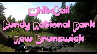 Mountain Biking: Whitetail Trail, Fundy...