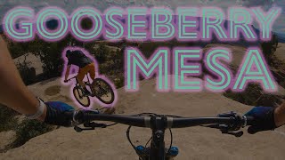 Falling Off Bikes – A Colorado and Utah...