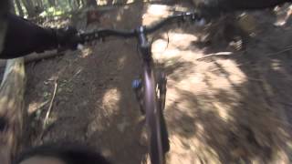 Mountain Biking: Gold Member, Nelson, BC