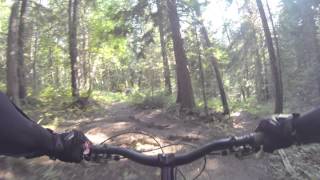 Mountain Biking: 3 Kings, Fernie, BC.