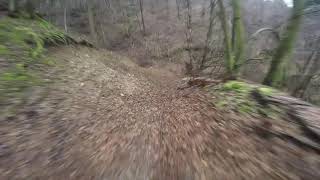 Troi del Pisotel