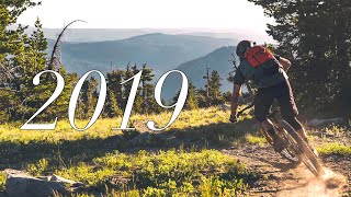 The Best Shreds of 2019