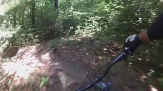 Twist n Turns @ Luther Forest