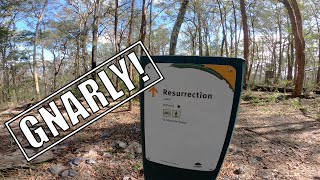 GNARLY Resurrection/Stupidly Happy | Cornubia...