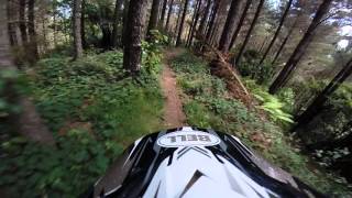 River run Busing Forest