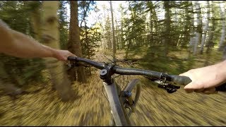 CHARGING with the HERD down 409.5 | Mountain...